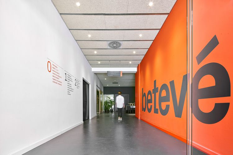 BETEVÉ