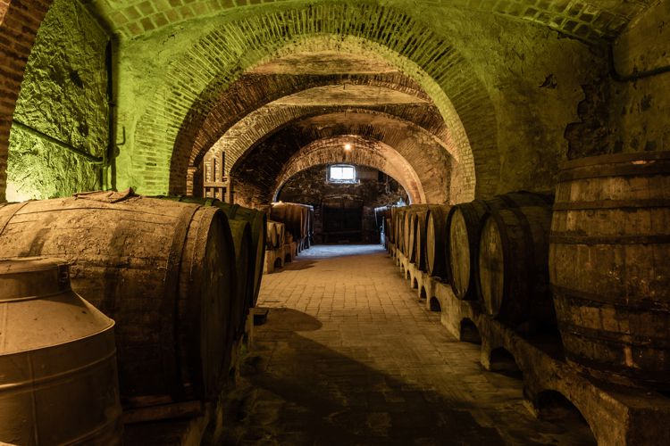 LA BODEGA DE CAN BRUGUERA
