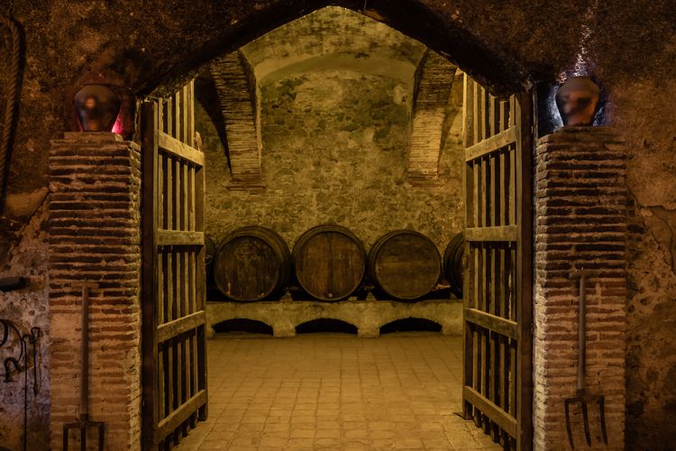 LA BODEGA DE CAN BRUGUERA