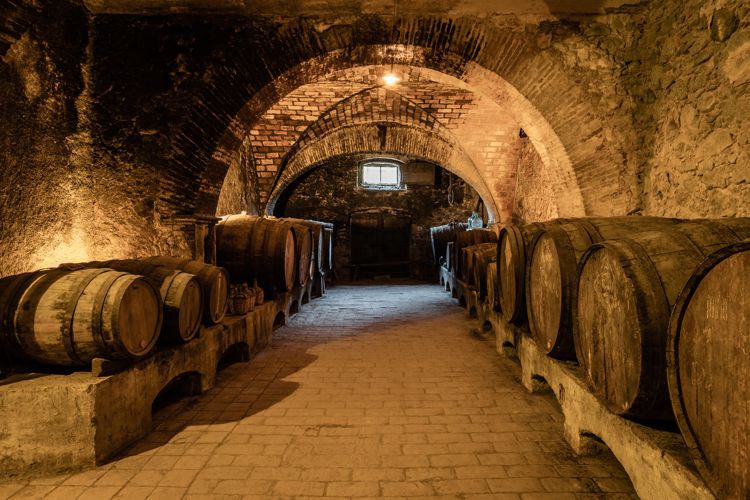LA BODEGA DE CAN BRUGUERA
