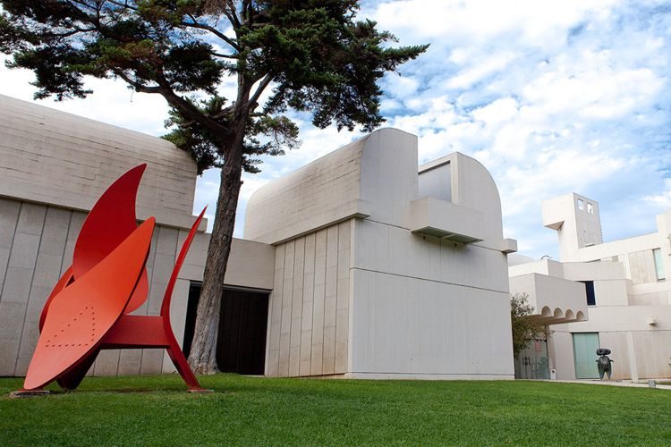 FUNDACIÓ JOAN MIRÓ (EDIFICIO + TERRAZAS)