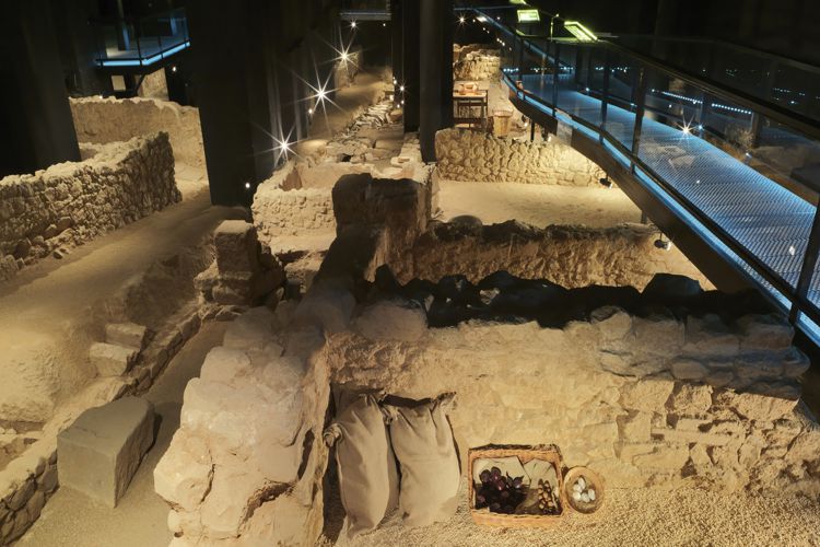 MUSEO DE BADALONA