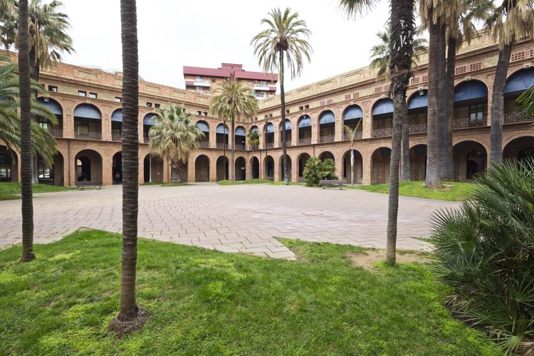 ANTIC INSTITUT MENTAL PI I MOLIST