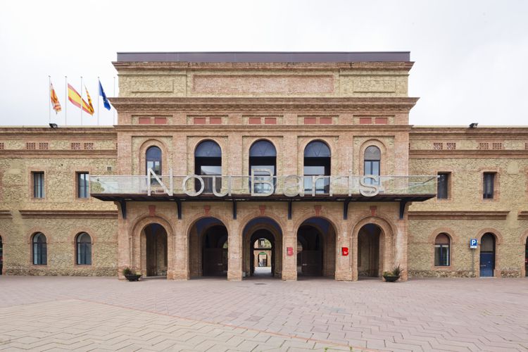 ANTIC INSTITUT MENTAL PI I MOLIST