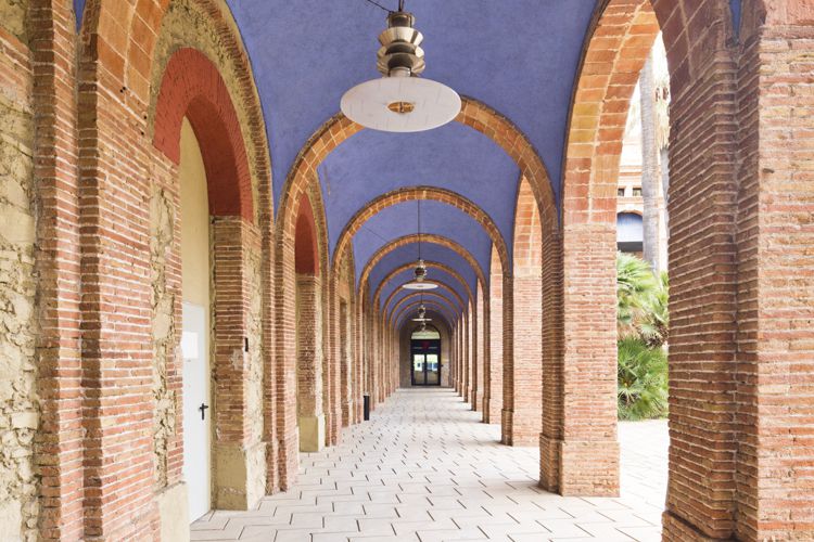 ANTIC INSTITUT MENTAL PI I MOLIST