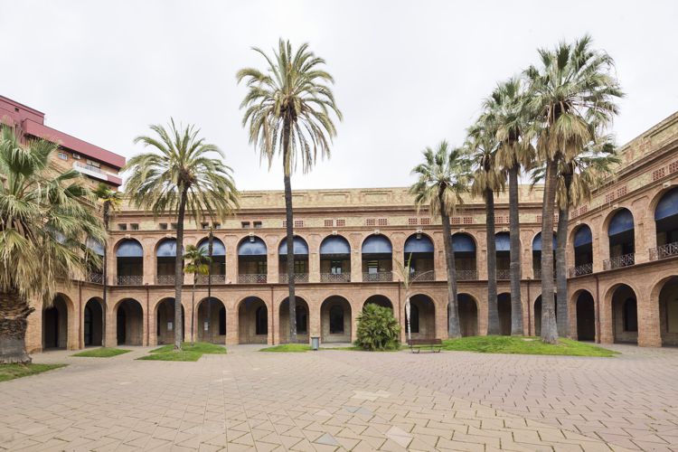 ANTIC INSTITUT MENTAL PI I MOLIST