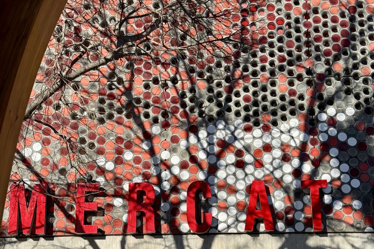 MERCADO DE LA GUINEUETA