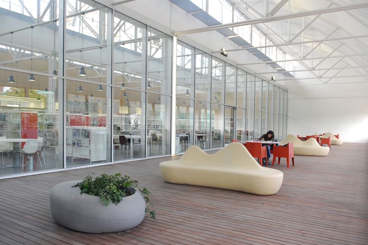 ILLA PHILIPS – BIBLIOTECA CANDEL