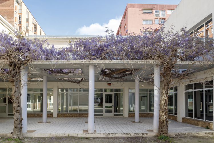 ILLA PHILIPS – CENTRE PEPITA CASANELLAS