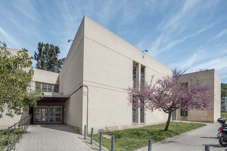 CAP DOCTOR CARLES RIBES