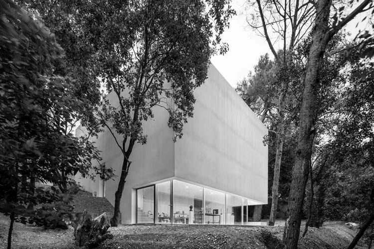 ESTUDIO DEL PINTOR ARRANZ BRAVO