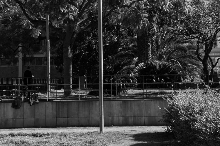 JARDINS OCULTS DE LA MARINA
