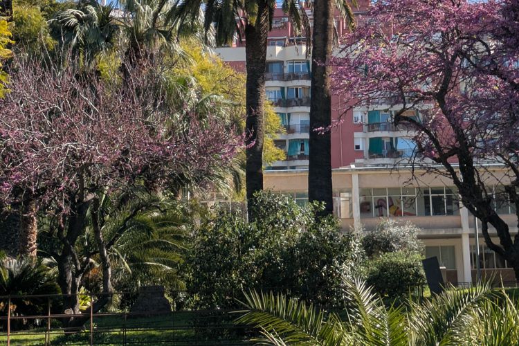 JARDINS OCULTS DE LA MARINA
