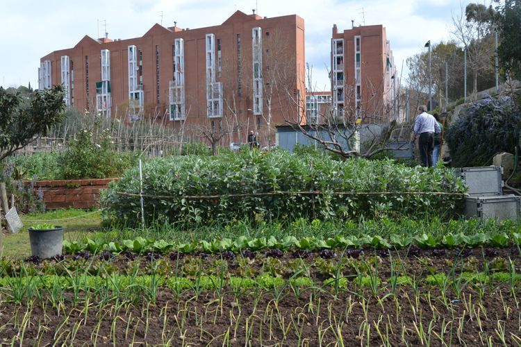 MASIA CAN MESTRES I HORT URBÀ