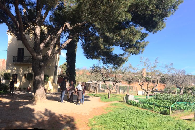 MASIA CAN MESTRES I HORT URBÀ