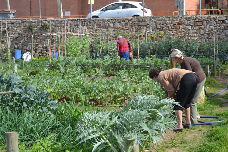 MASIA CAN MESTRES I HORT URBÀ