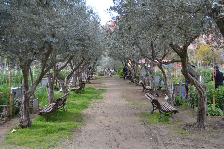 MASIA CAN MESTRES I HORT URBÀ