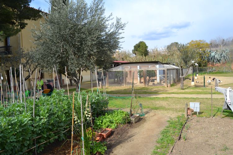 MASIA CAN MESTRES I HORT URBÀ